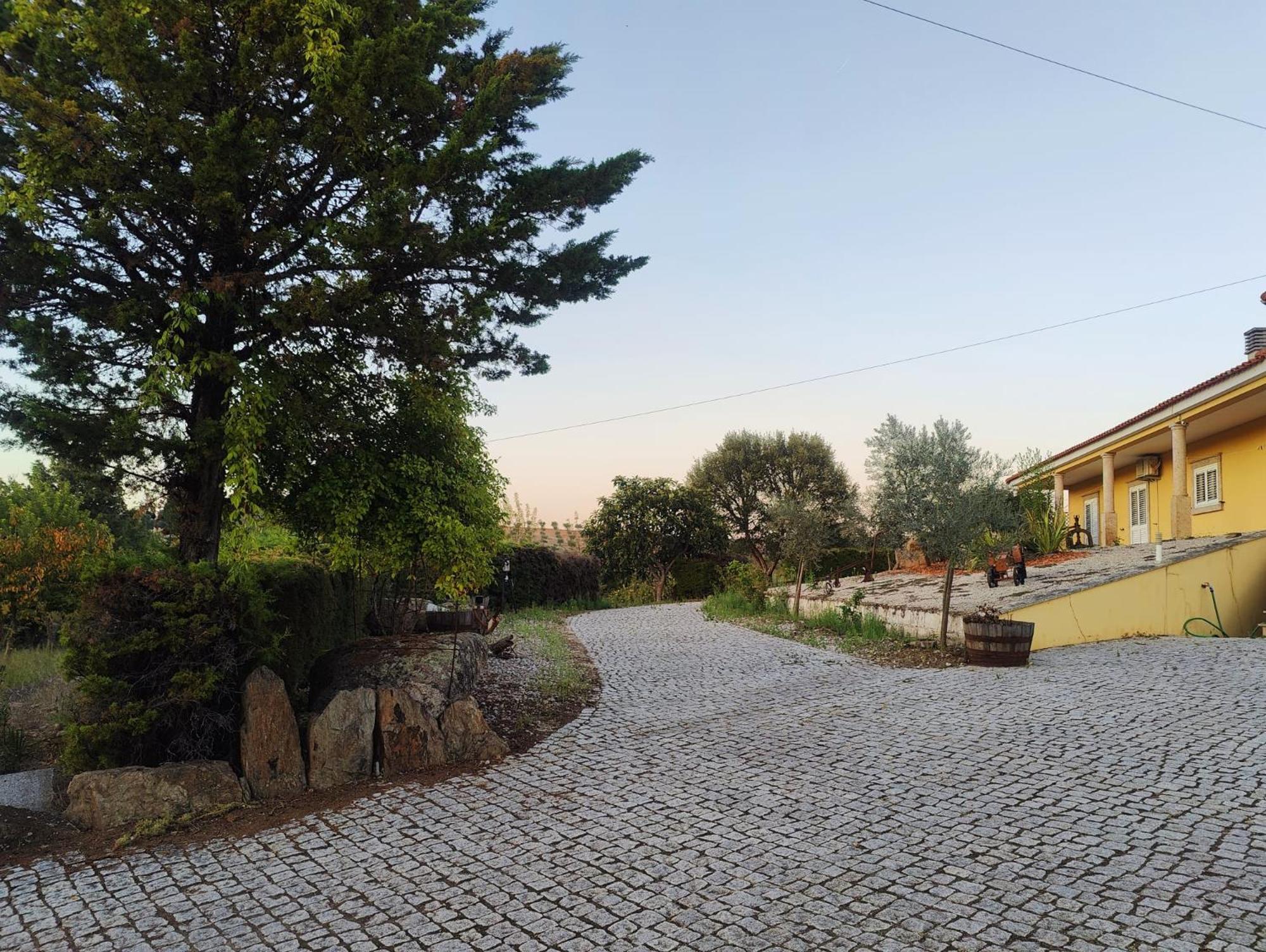 Quinta Da Libelinha Alojamento Local - ミランデラ エクステリア 写真