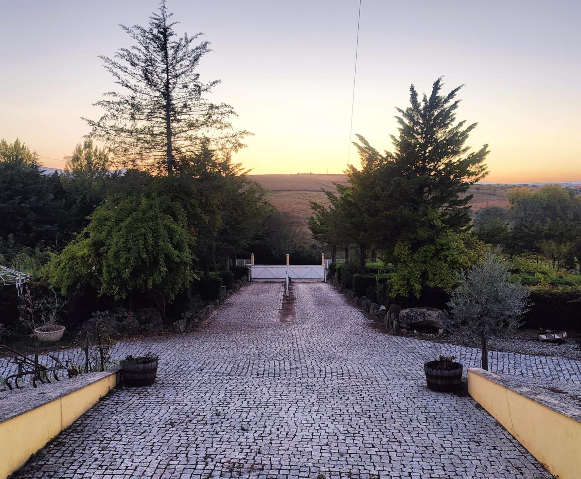 Quinta Da Libelinha Alojamento Local - ミランデラ エクステリア 写真